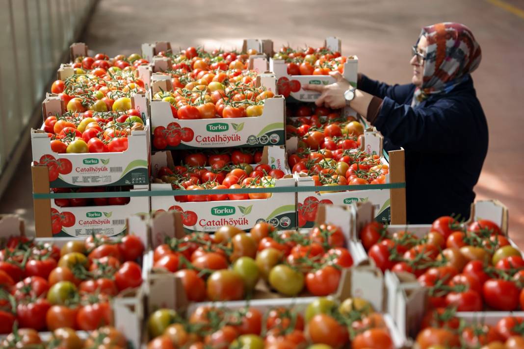 Çürük buharla Konya'da 1600 ton üretiliyor: Yabancı alıcı kapış kapış kaçırmıyor 5